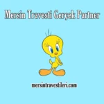 Mersin Travesti Gerçek Partner